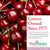 fruitHaven Dried Blueberries, All Natural,Gluten Free, No Perservatives, Good Source