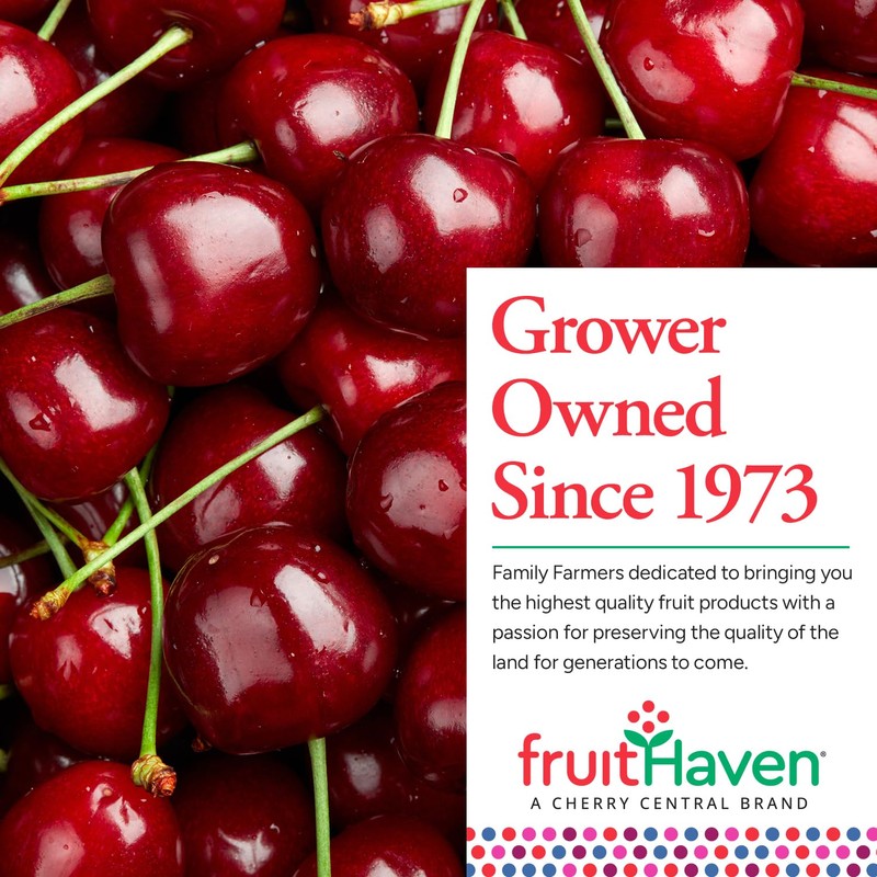 fruitHaven Dried Blueberries, All Natural,Gluten Free, No Perservatives, Good Source