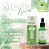 Green Concept Monk Fruit (Fruta del Monje) + Stevia Natural