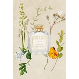 Muschio Eau de Cologne 100ml 6315964007200 / 무스치오 오드코롱 100ml 6315964007200