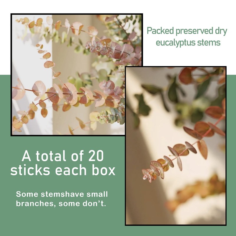 (20Pcs) Dried Eucalyptus Stems - Red, Fall Decorations for Home,