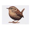 'Resting Wren Bird' Temporary Tattoo - Water Resistant, Skin-Safe, Non-Toxic