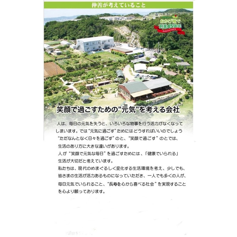 仲善 春うっちん粉 袋入 200g