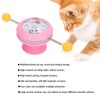 Windmill Spring Interactive Cat Catnip Toy Funny Cat Turntable Teasing