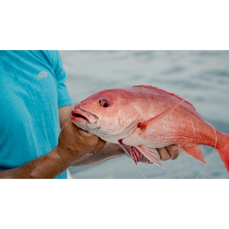 Demon Circle Hook, in Line, Wide Gap, 6/0