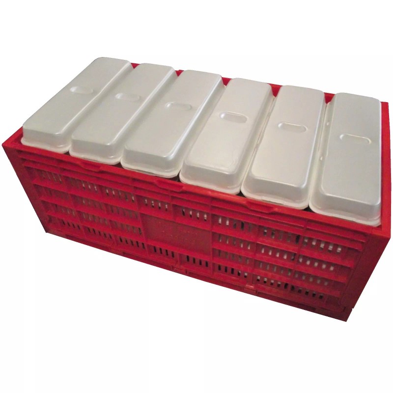 RITE FARM PRODUCTS EGG TRAY CARTON TRANSPORT CRATE CHICKEN SHIPPING