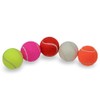 Price's 5 Coloured Tennis Balls (5)