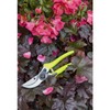 Burgon & Ball FloraBrite RHS Endorsed Bypass Secateur, 21 cm