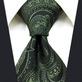 (sirrakusu and Wing) Shlax & Wing Dark Green Paisley Pattern rongunekutaisirukuzyaka-rubizinesu All New Formal Dress Brand New Men's General Dimensions of the Tie - green