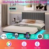 ARFARLY Floating Double Bed Frame with LED Lights and Charging