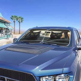Qpednta Funny Black Cat Car Front Windshield Sun Shade 2-Piece Foldable Car Windshield Sun Shade UV Rays and Keeps Vehicle Cool Easy to Install for Most Sedan Truck SUV