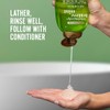 OGX, Shampoo Extra Fuerte de Tea Tree y Menta, 385