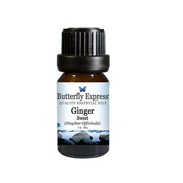 Butterfly Express Ginger Sweet Essential Oil. 10 ml. 100% Pure, Undiluted, Therapeutic Grade.