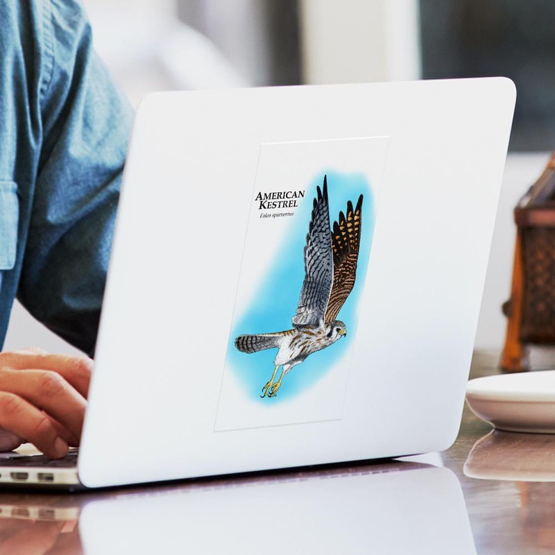 CafePress American Kestrel Rectangle Bumper Sticker Car Decal