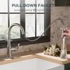 FORIOUS Antique Kitchen Faucets with Pull Down Sprayer Brushed Nickel,
