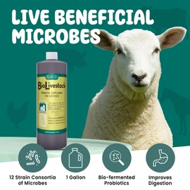 SCD Bio Livestock - Liquid Probiotic Feed & Water Additive, Organic Digestive Supplement for Cows, Pigs, Horses, Chickens, Ducks, Rabbits by SCD Probiotics