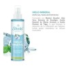 Shelo Nabel HIELO MINERAL SHELÓ NET CONTENTS 8.96 Fl oz