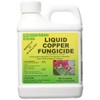 Southern Ag - Liquid Copper Fungicide - Fungicide, 16oz