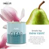 Candle-lite Pure Clear: 16oz Candle—2 Wicks of Leafy Greens &