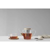 Viva Infusion Borosilicate Glass Tea Pot for Stovetop with Loose