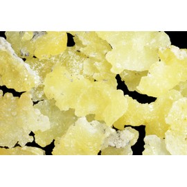 Kidz Rocks Brucite Crystal 1" AAA Grade Raw Rock Mineral Specimen Geology Sample Collectible Rough Stone