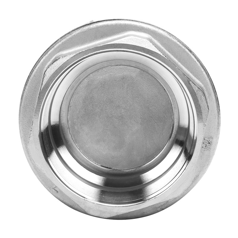 2 Inch Vertical Check Valve SUS304 Spring Loaded Check Valve
