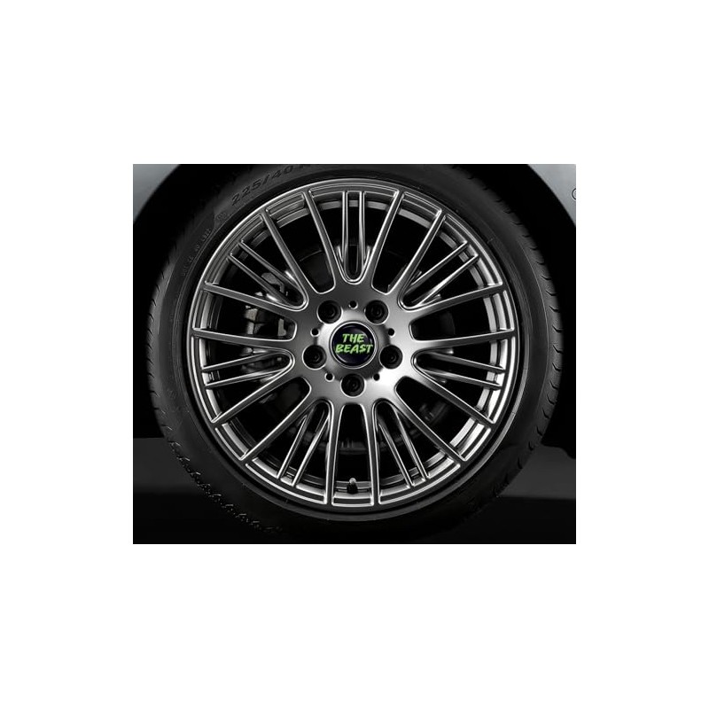 Skino 4 x 55 mm Car Sticker for Hub Caps