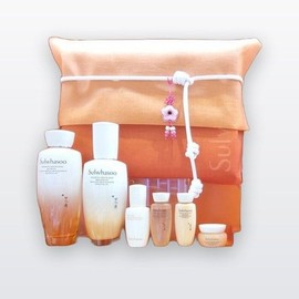 Sulwhasoo's latest department store product Jaum 2-piece set 666295 Norigae added / 설화수 예정 백화점 최신제품 자음 2종 세트 666295 노리개추가