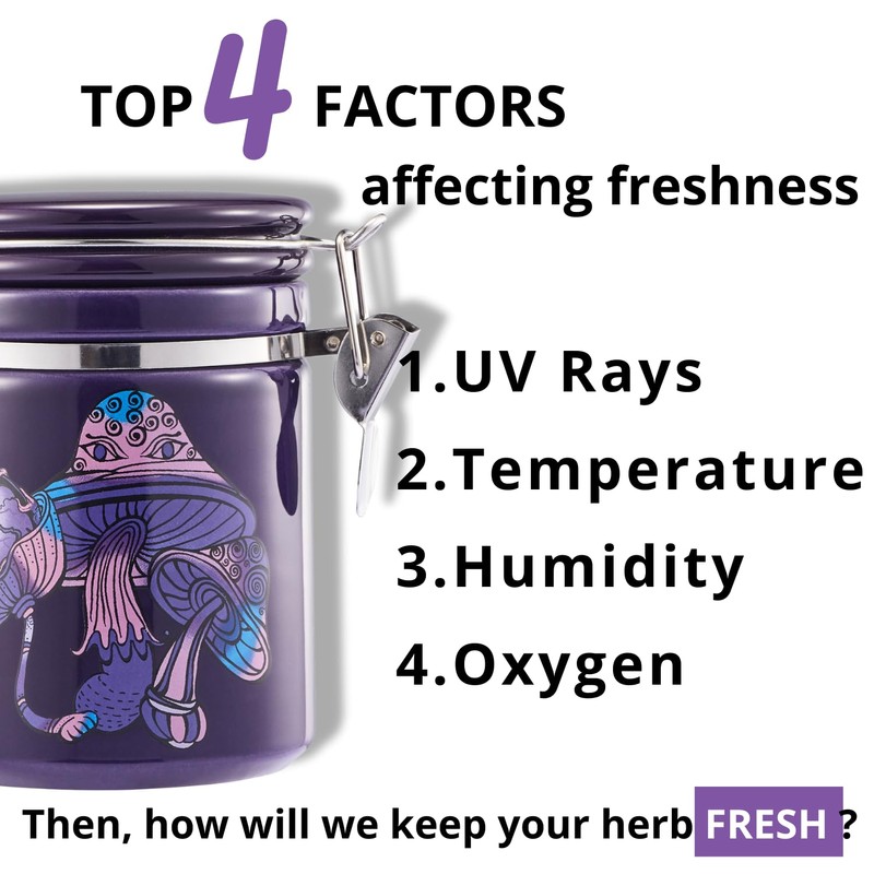 Smell Proof Container (500ml - 1 Oz), Mushroom Stash Jar