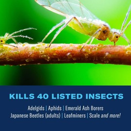 BioAdvanced 12 Month Tree and Shrub Protect and Feed, Granules, 10 lb, Insect Killer and Fertilizer & Plant Food