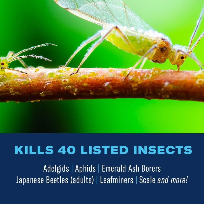 BioAdvanced 12 Month Tree and Shrub Protect and Feed, Granules,