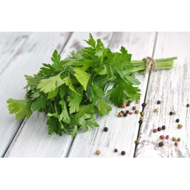 NIKA SEEDS - Seeds Herb Flat-Leaf Italian Parsley Green - 2000 Seeds