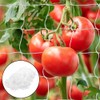 skycabin 1.5x10m Plant Support Netting for Climbing Plants with Nylon