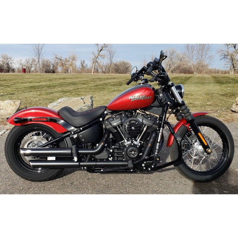 Legendary Cycles USA MADE Harley Softail Street Bob FXBB Gas