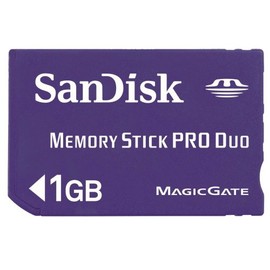 SanDisk MemoryStick ProDuo 1GB SDMSPD-1024-J95