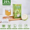 LeafLea 120 Guava Leaf Tea Bags, Premium Natural Herbal Tea,