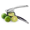 OGGI Citrus Press- Zinc Alloy Manual Citrus Juicer, Ideal Hand