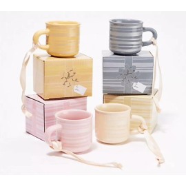 TEMPTATIONS NEW Temptations Set STRIPE Espresso Cup Mug Ornament 2.5oz w/Gift Box PINK GREY