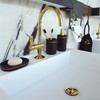 Spirella Bly Toilet Brush Polyresin Matt Black Gold