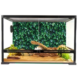 YongFoto Reptile Terrarium Background 30x12 inch Reptile Tank Background Botanical Plant Green Leaves Vine Wall Reptile Habitat Background Bearded Dragon Fish Tank Aquarium Background Backdrop
