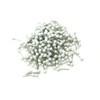 VAPKER 1/8 Inch Map Tacks Round Plastic Head Push Pins