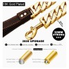DO&G Gold Plated Cuban Link Chain 3 Ft Leash Xtra