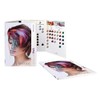 COLOREVO 8.00 Intense Light Blonde