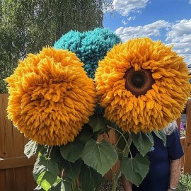 ZEshops 50pcs Blue and Yellow Enchanting Giant Teddy Bear Sunflower Seeds