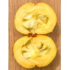9waters Araza Araca Boi Eugenia Stipitata Yellow Aromatic Fruit Tropical