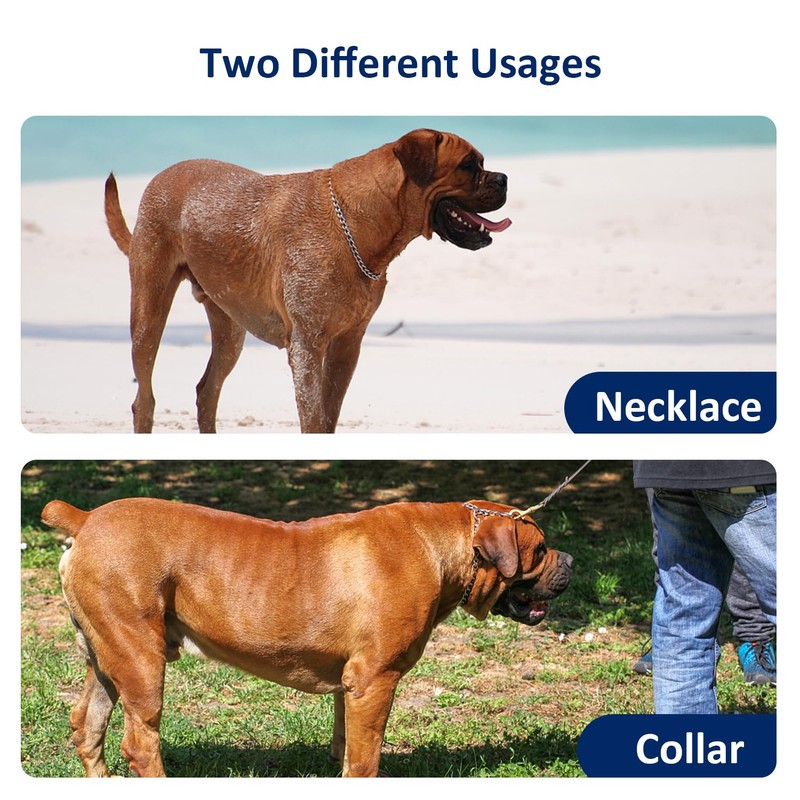 WePet Dog Chain Collar, Metal Slip Collar, Heavy Duty Choke
