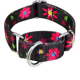 Dazzber Martingale Collar Floral Print Dog Collar - No Pull Pet Collar, Heavy Duty for Medium Dogs, Adjustable Neck 14 Inch to 21 Inch, Sun Flower (Black)