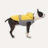 Reflective Hooded Raincoat for Dogs (Yellow, 2XS)