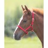 Shires Foal Nylon Headcollar Navy Blue