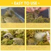 Riare 2.6LB Premium Sphagnum Moss for Reptiles- 100QT Natural Live